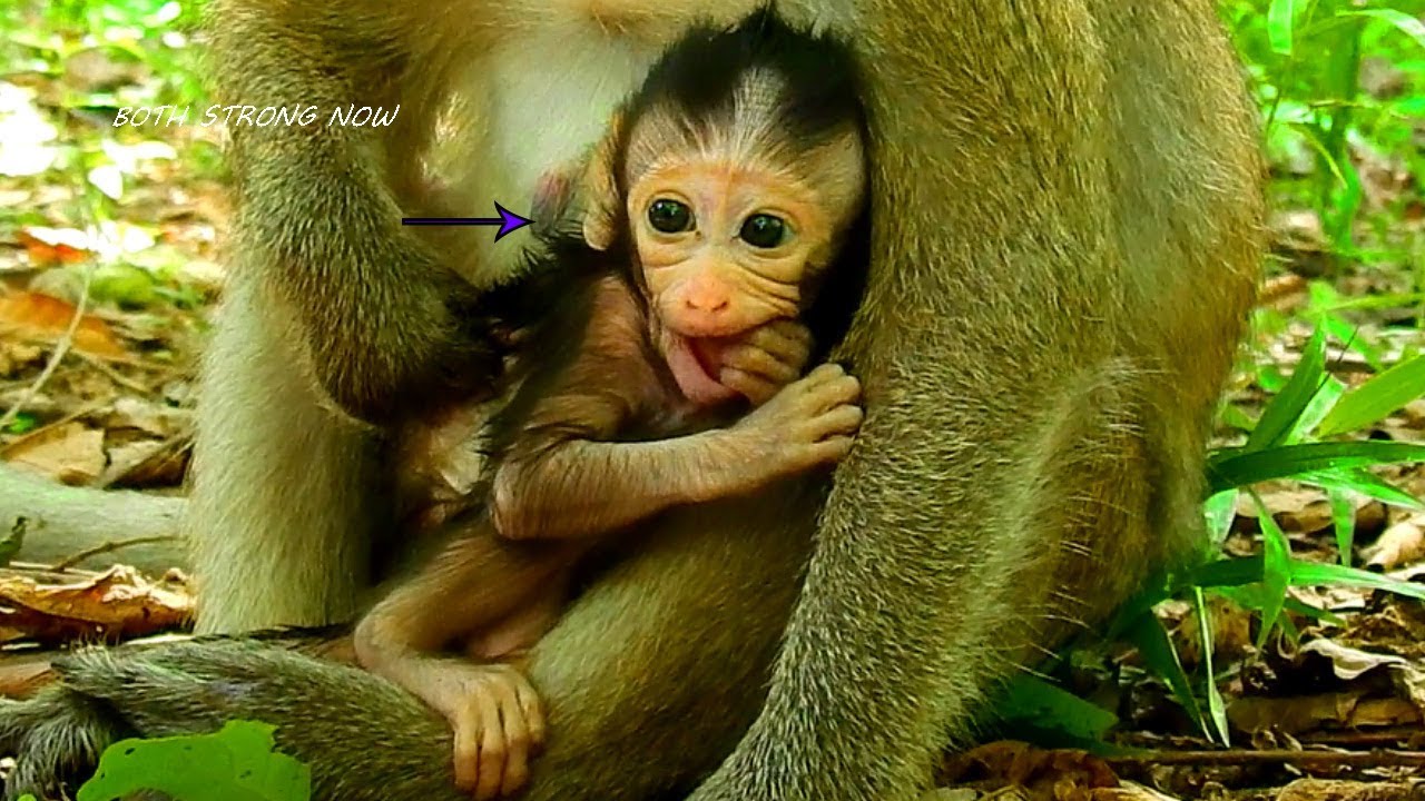 Congratulations!, Both Candy & Baby Carlino Are So Strong Now, Mom Not Sleep Much Any More