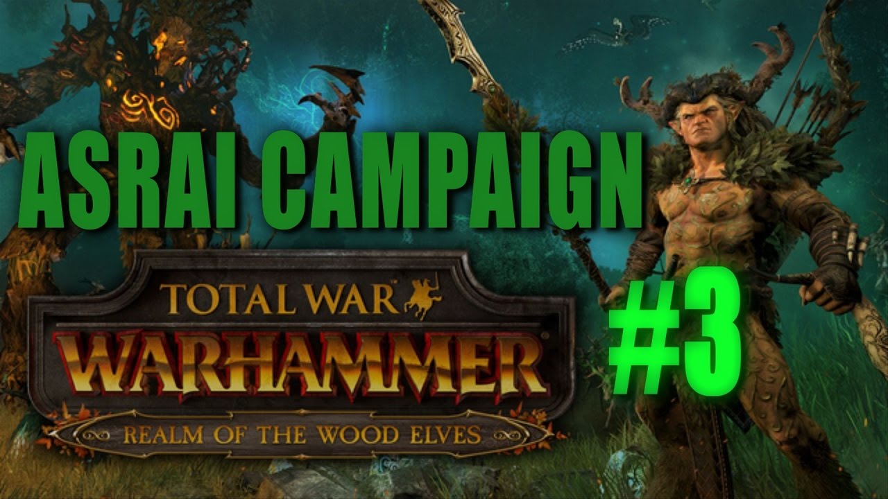 WOOD ELVES CAMPAIGN - Total War: Warhammer Gameplay #3 - YouTube