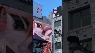 Cross Shinjuku Vision - Giant Cats