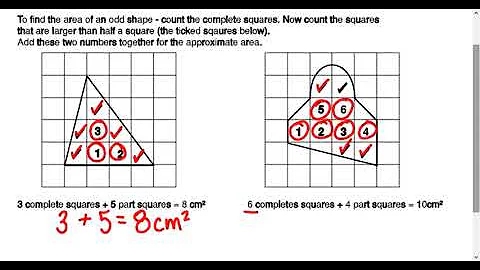 Area and Perimeter Review