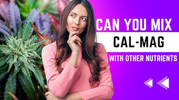 🌿 When Should I Use Cal-Mag? | Cannabis Quick Facts 🌿