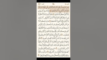 سورة الروم كاملة - القارئ محمد اللحيدان - القرآن الكريم