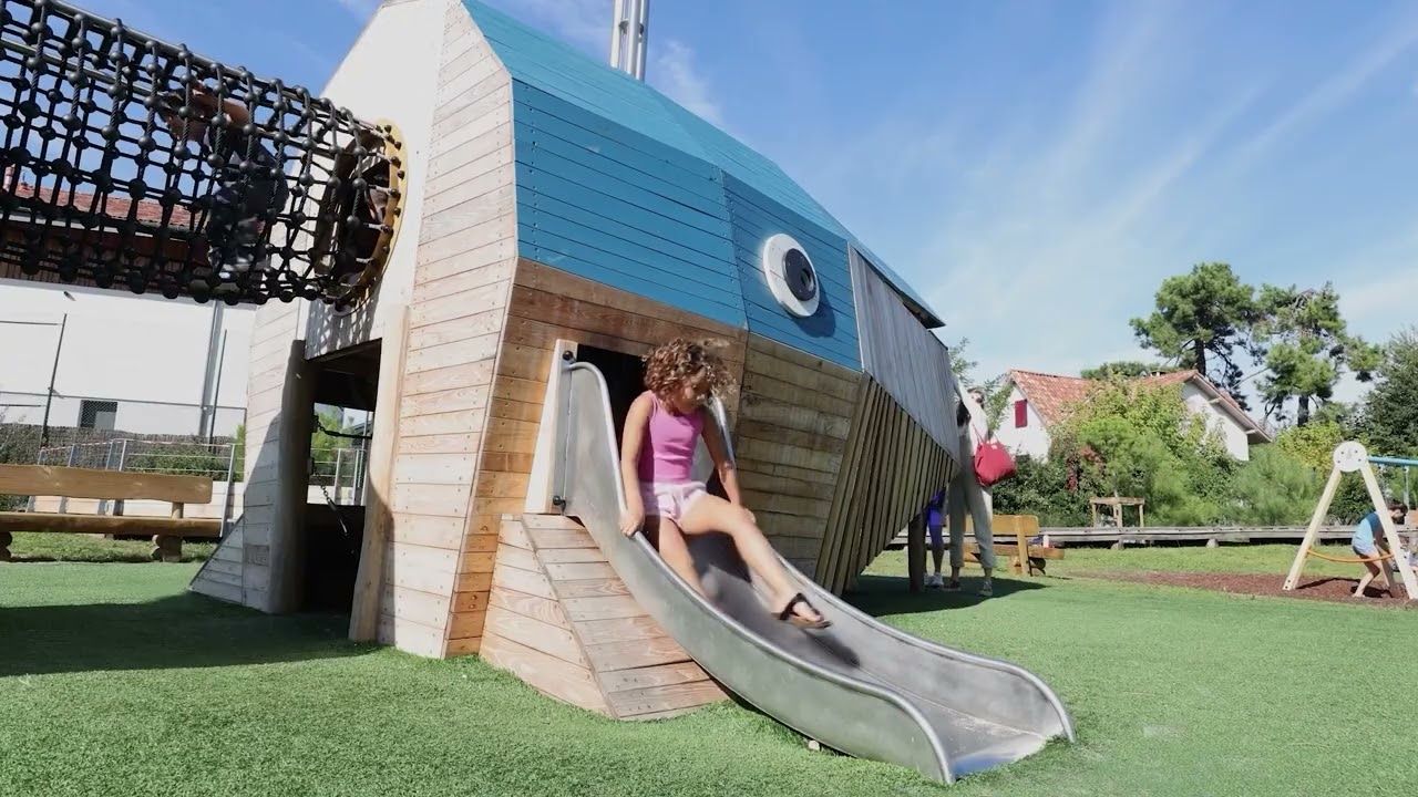 J49117 A success story of Proludic | 