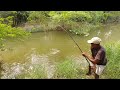 Fish hunting || incredible big catfish Catching the 10 kg big catfish