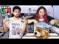 TOCA LIFE VIDA REAL - VIRAMOS VETERINÁRIOS | Gabriel e Shirley 2.0