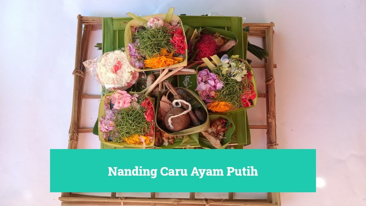 Nanding Caru Ayam Putih