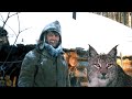 🐱 / Он спас РЫСЁНКА от голодной смерти, а через год МАЛЫШ отплатил ему тем-же!/