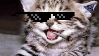 I Am The One Animal Version