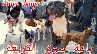 سوق القريعة بالدار البيضاء الكبرى المغرب يوم الاحد مع باعة الكلاب souk kriaa Casablanca Maroc