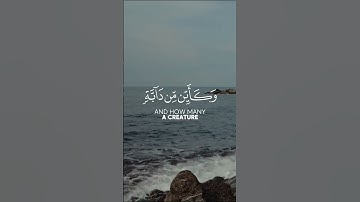 سورة ﴿العنكبوت﴾ 🤍.      #راحة_نفسية #quran