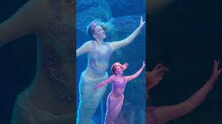 Какая картинка больше понравилась ? #русалка #mermaid #дубай