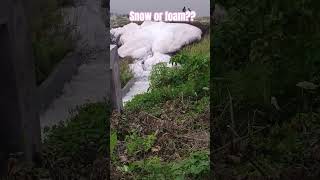 Snow or foam #travel #trip #yt #pollution #waterpollution #shorts