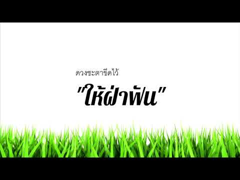 อยากกลับบ้าน เสือ ธนพล KARAOKE