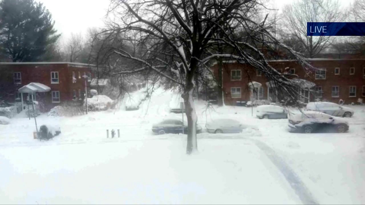 NYC Blizzard Cam (2017) YouTube