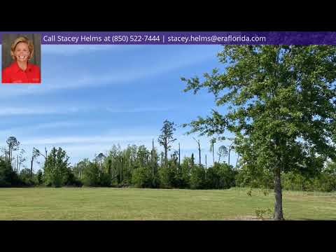 6825 Northwood Street, Youngstown, FL home video tour