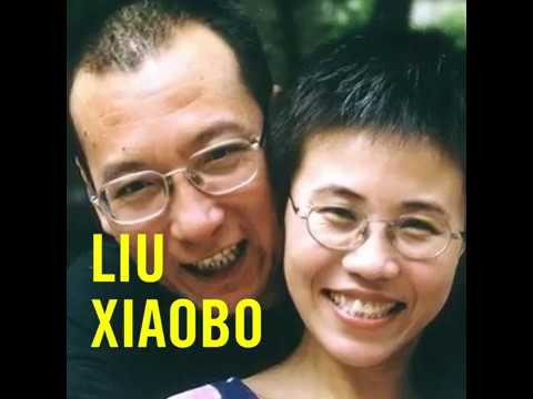 劉曉波辭世 國際特赦組織:續為劉霞連署(國際特赦組織提供) - 劉曉波辭世 國際特赦組織:續為劉霞連署(國際特赦組織提供)