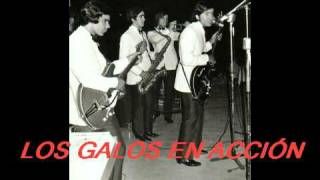 LOS GALOS - NO TENGAS PENA -1970 - Canta Lucho Muñoz - TICOABRIL chords