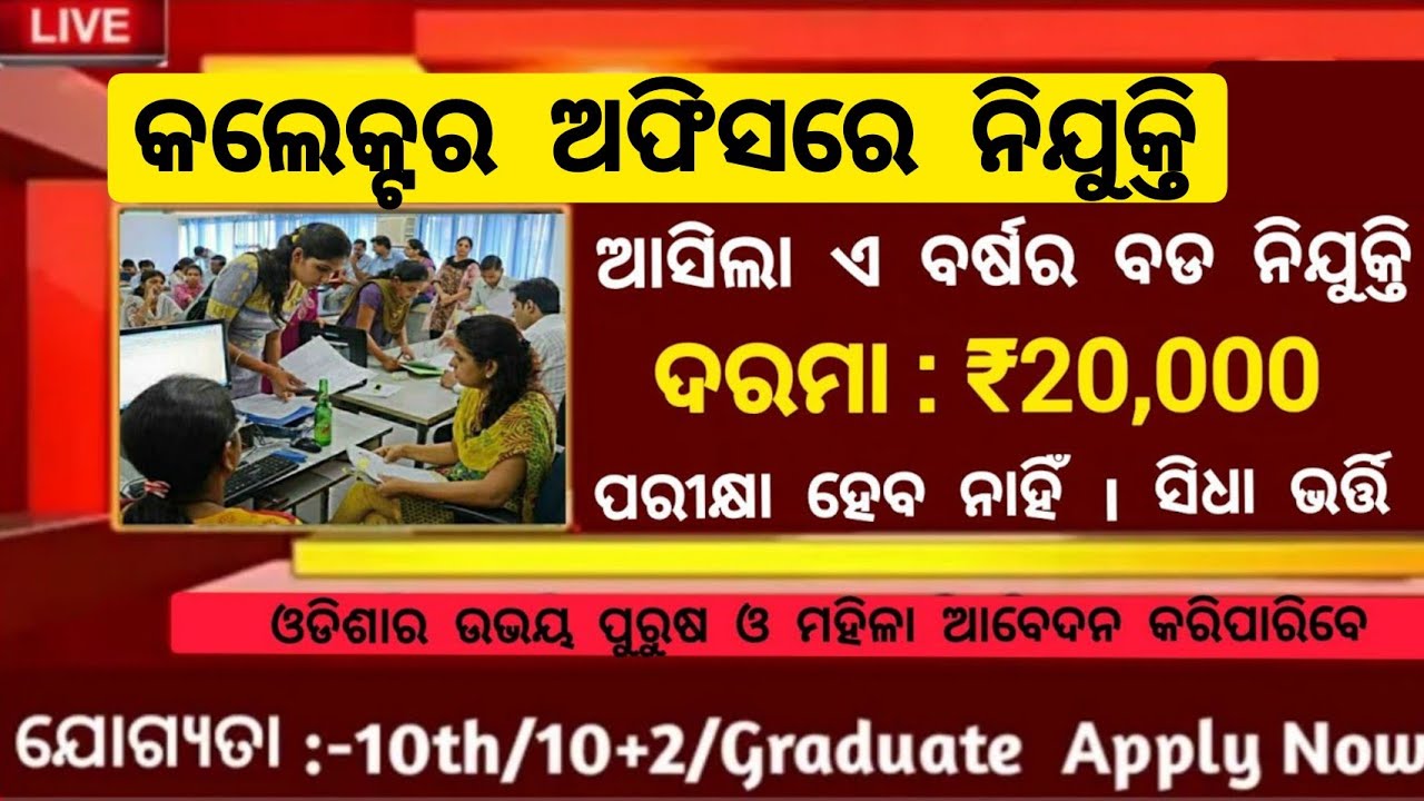 collector-office-new-recruitment-2024-odisha-odisha-free-job-alert