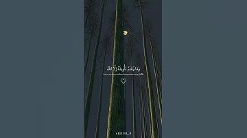 ارح سمعك واستمع لسورة 🎧🩶#عبدالرحمن _مسعد 🩶🎧#ارحة نفسية 🩶🎧#راحة نفسية 🩶🎧 #عبدالرحمن_مسعد 🩶🎧