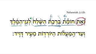Nehemiah 3:15b