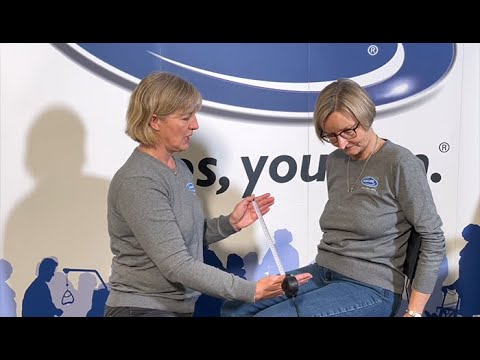 Video: Hvordan vælger jeg en kørestolshynde?