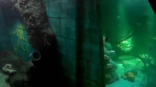 Legoland Atlantis Legoland Attractions - Submarine   Legoland Aquarium