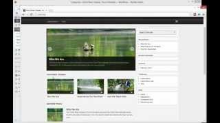 WordPress Menu Post Categories
