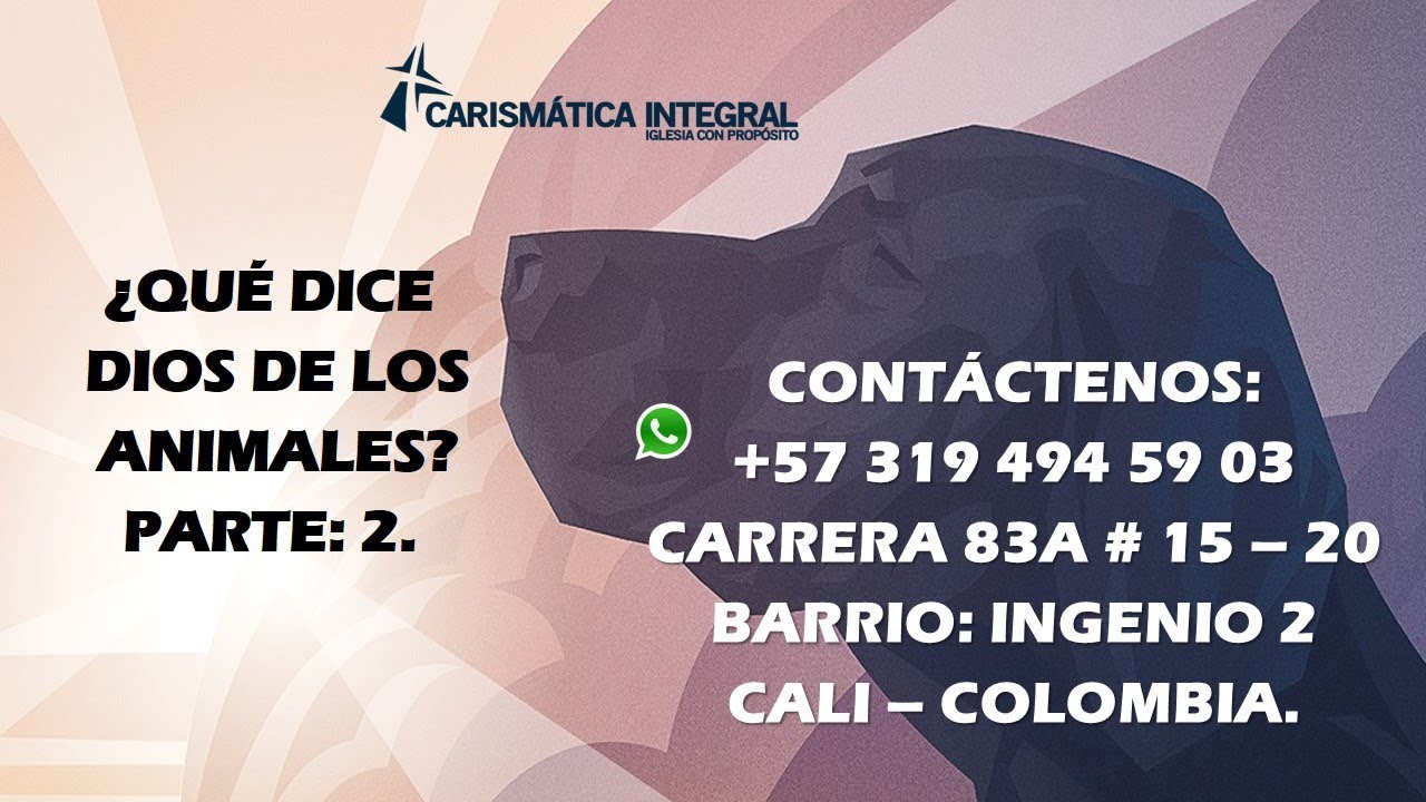 ¿QUÉ DICE DIOS DE LOS ANIMALES PARTE 2?
