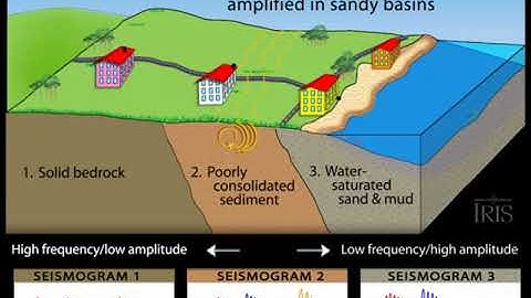 Earthquake Waves Effects on Different Buildings