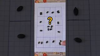 Riddle Miracles Where did the 4 seeds go if their number on the sides remains 6? screenshot 2