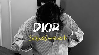 Dior Shubh Solwedreverb Feel The Vibe
