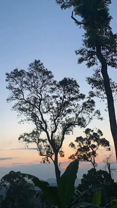 Snap wa lagu st12 terlalu (trending tiktok)