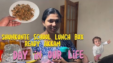 അമ്മച്ചി എന്താണ് അനിയന്റെ വീട്ടിൽ പോകാത്തത് | ശുങ്കുന്റെ സ്കൂൾ ബോക്സ് റെഡിയാക്കാം |day in our life