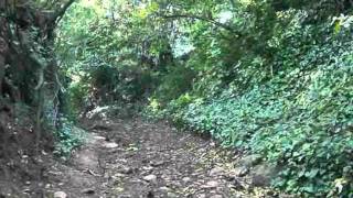 O Cazador (versión orixinal)