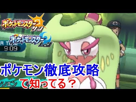 ポケモン 徹底