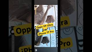Oppo X9 Ultra v iPhone 17 Pro Camera Comparison