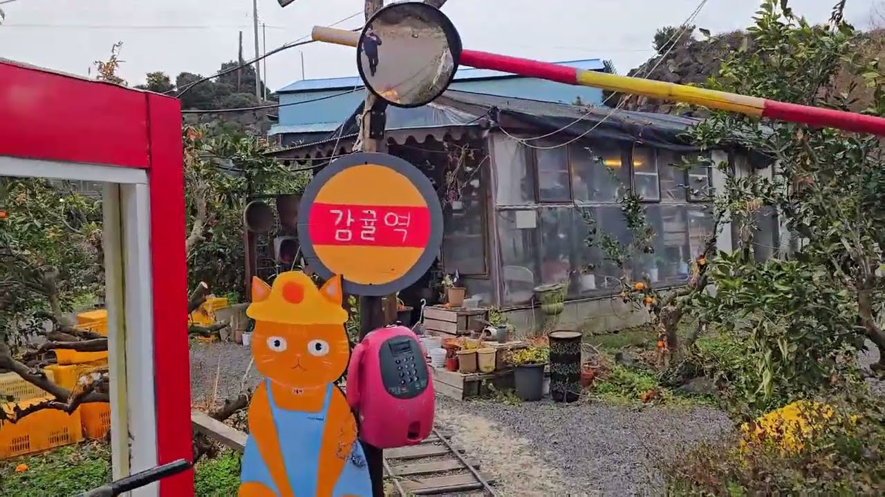 겨울에 제주오면 가야 할 핫플레이스 12곳