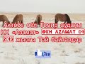 Мугалжар жылкысы КХ «Азамат» 19 жылгы тай байталдары #россия #казахстан #татарстан #башкирстан
