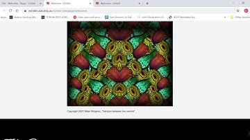 Exhibit Omeka S - Add a media block