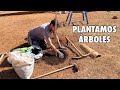 📦 NUEVA Deco 🌿💦 ARREGLAMOS Pared Jardin | PLANTAMOS árboles | CÁPSULA del Tiempo