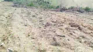 Domuz Saldırısından Kıl Payı Kurtuluş😂- Pig attack!!