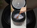 Blueberry Pudding | RC9