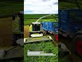Unstoppable Silage Power – CLAAS Jaguar 870 Beast! #ForageHarvester #Claas #FarmLife