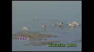 Бороонд Урсах Нулимс