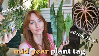 mid-year plant tag! 🌿 favs, disappointments, hot takes, trends & more
