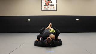 WazaTube: Cross Choke from Failed Triangle Choke