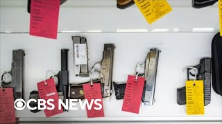 Recent mass shootings spark renewed push for federal "red flag" laws Net Worth