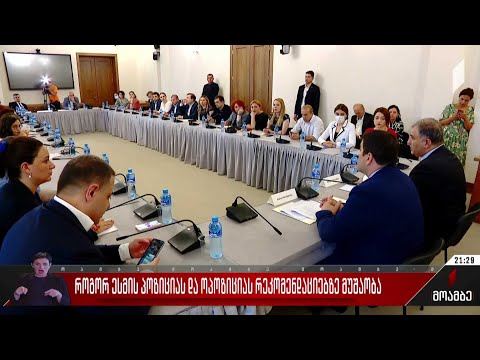 როგორ ესმის პოზიციასა და ოპოზიციას რეკომენდაციებზე მუშაობა