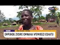 AGENSHONGA EMPUNDU ZISIIRE OMWANA W EMYEEZI ESHATU MASINDI