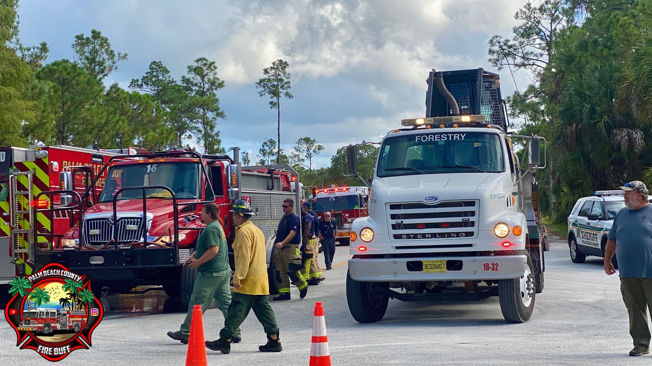 Large Brush Fire In Jupiter Farms - YouTube